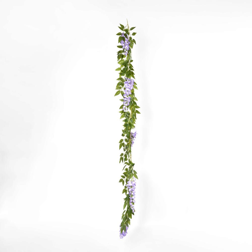紫藤花环紫色