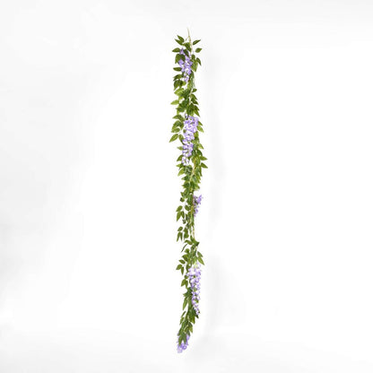 紫藤花环紫色