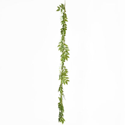 紫藤花环白色