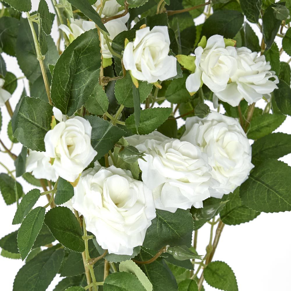 Hanging Rose Spray White