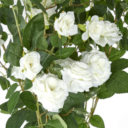 Hanging Rose Spray White