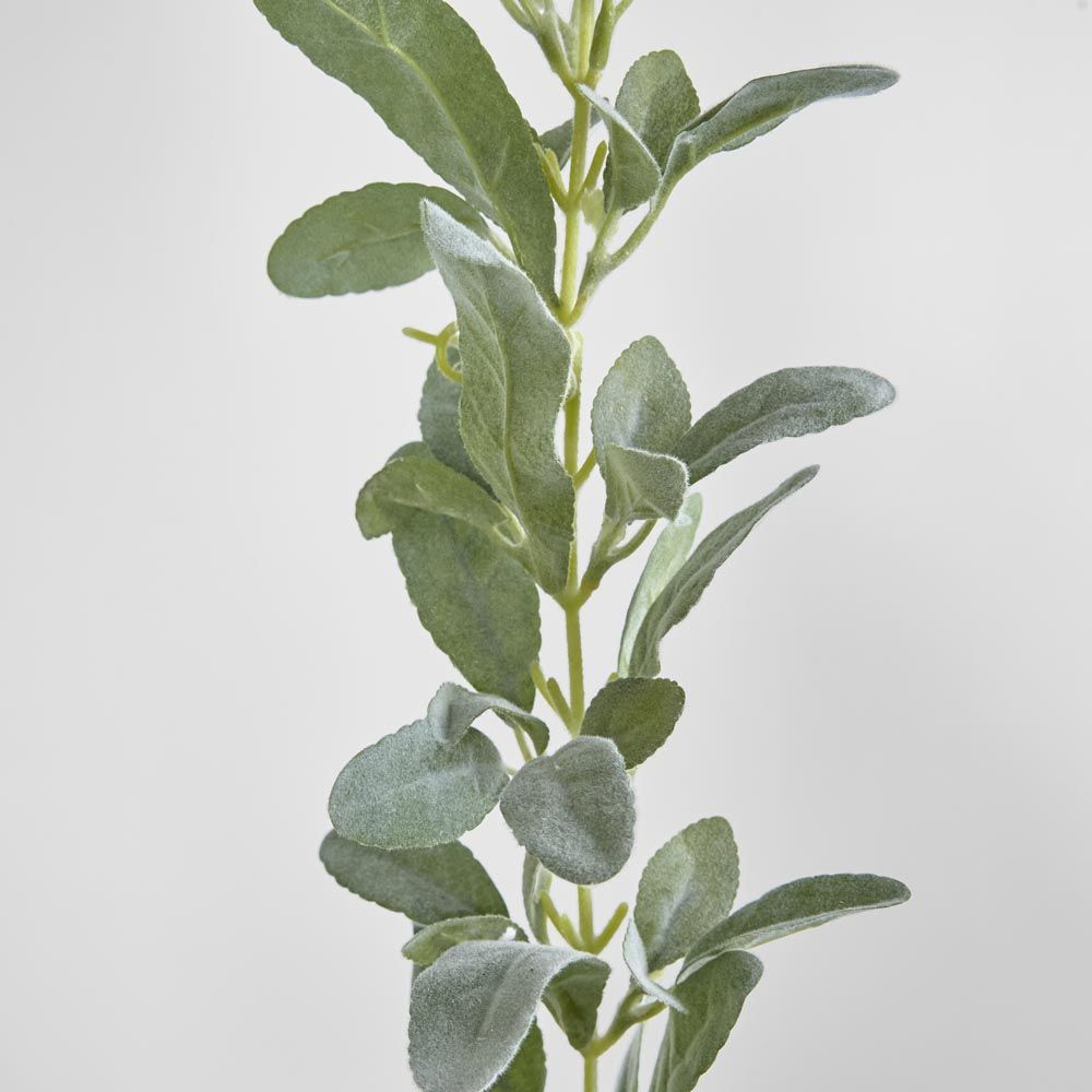 Lamb'S Ear Garland