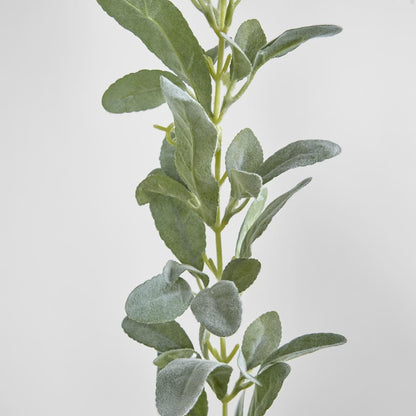 Lamb'S Ear Garland