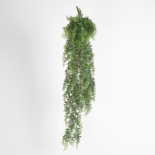 Green Hanging Baker Fern X 14