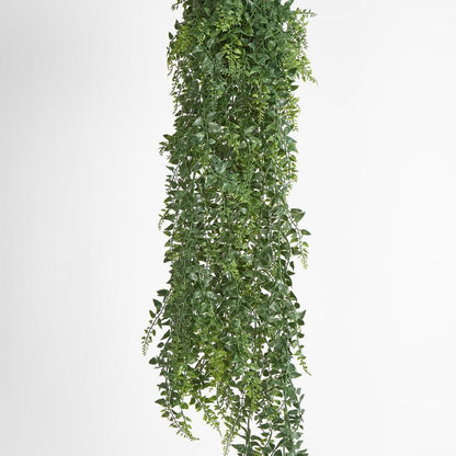 Green Hanging Baker Fern X 14