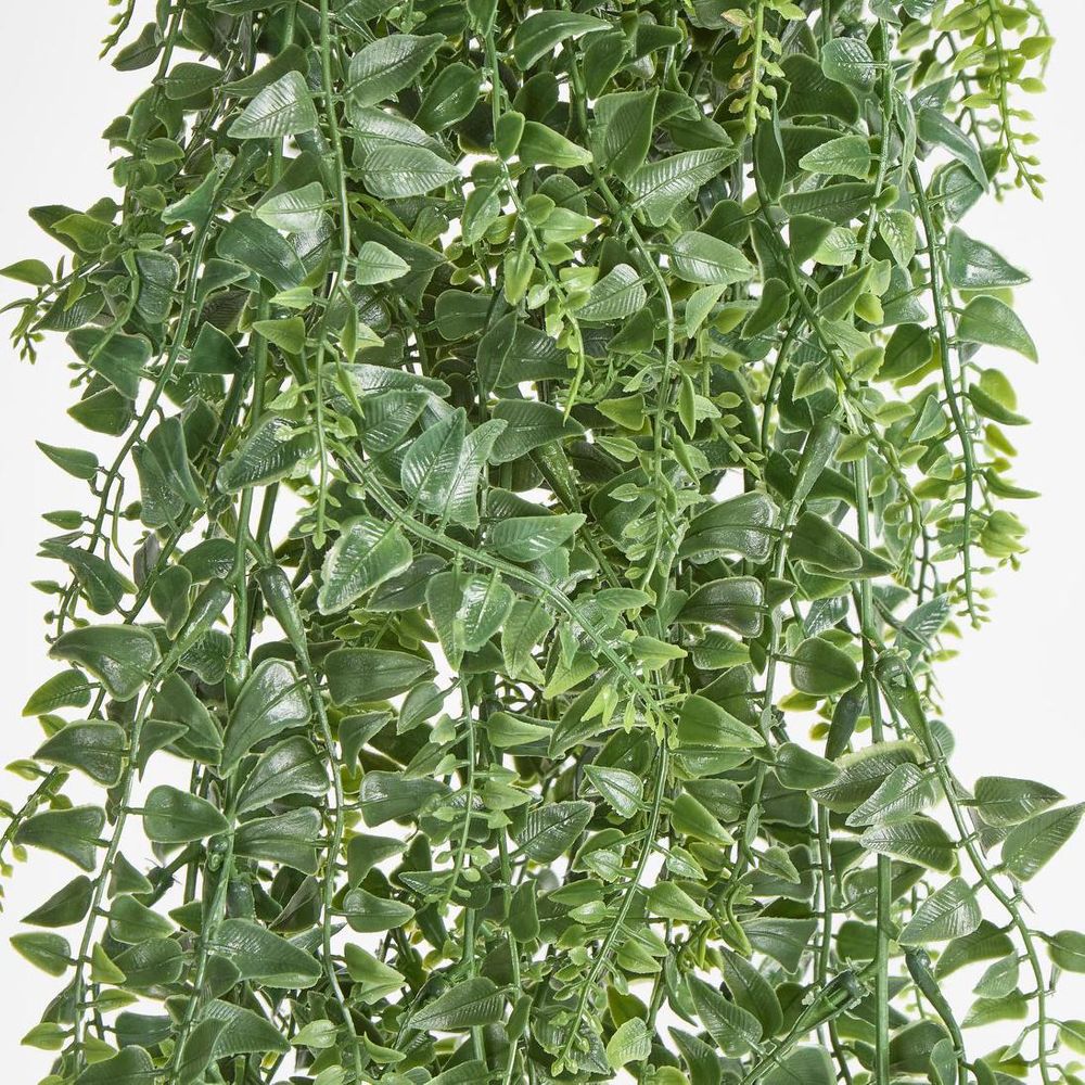 Green Hanging Baker Fern X 14