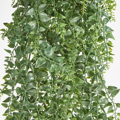 Green Hanging Baker Fern X 14