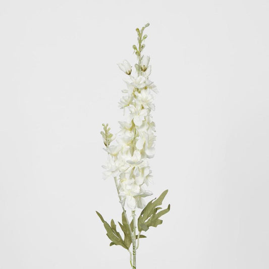 Light Lilac Purple Delphinium 60Cm
