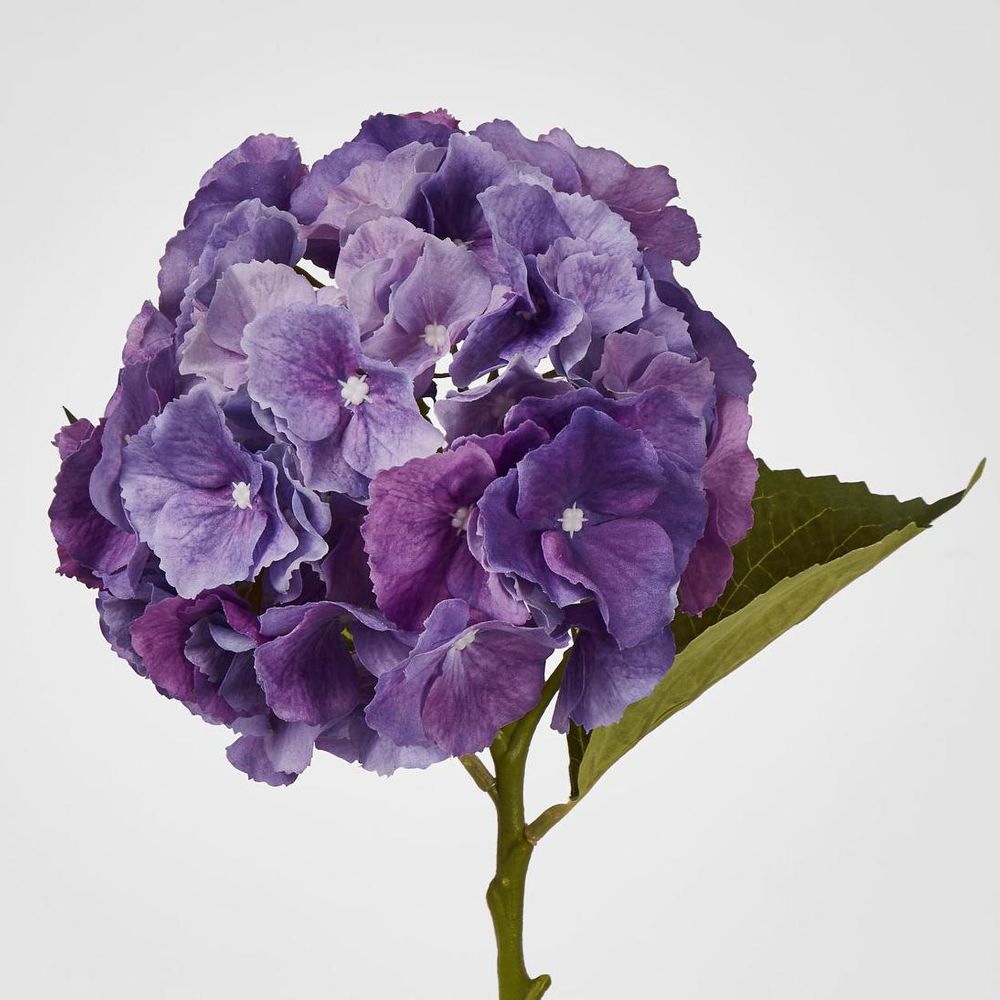 Susan Hydrangea Soft Touch Violet 52Cm