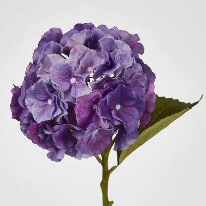 Susan Hydrangea Soft Touch Violet 52Cm