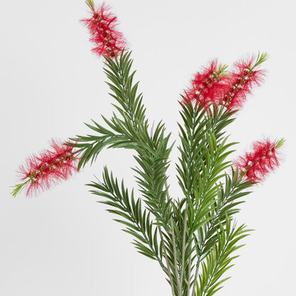Bottlebrush Spray 100Cm