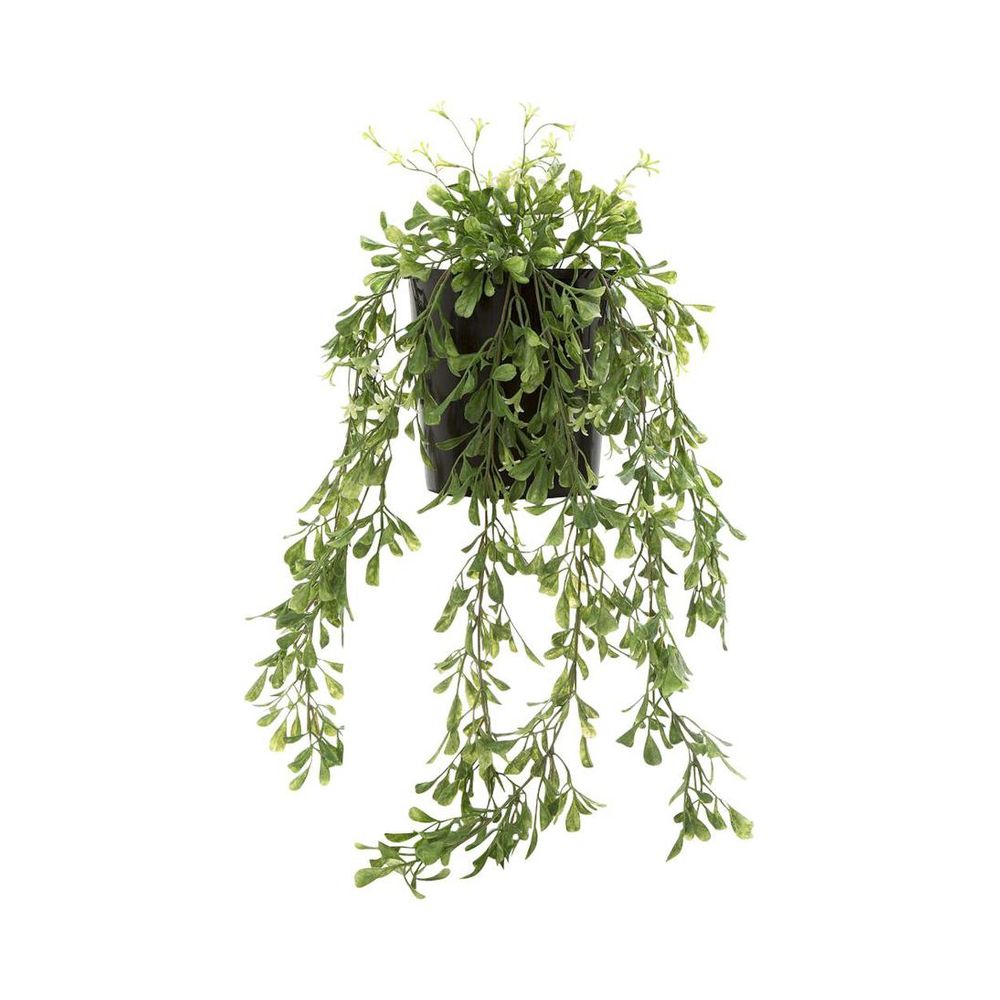 Boxwood Vine Hanging In Pot 74Cm
