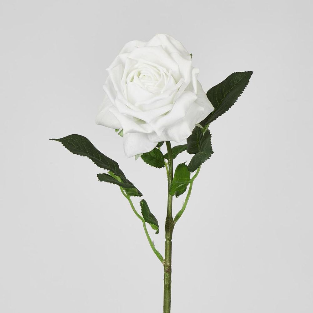 Walter Real Touch 玫瑰花茎 冬季白色 61 厘米