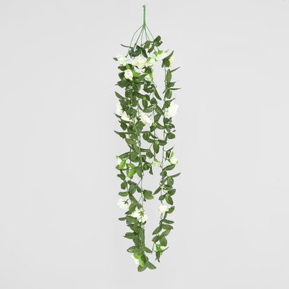 Hanging Roses