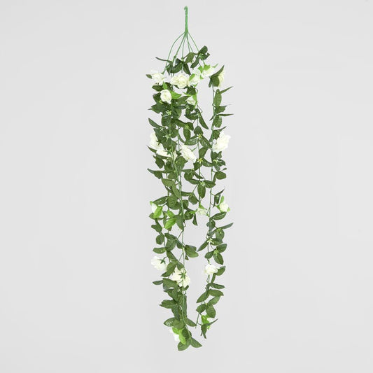 Hanging Roses