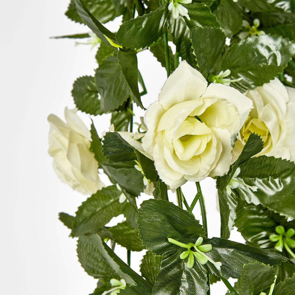 Hanging Roses