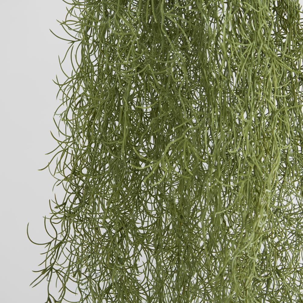 Spanish Moss Dark Green