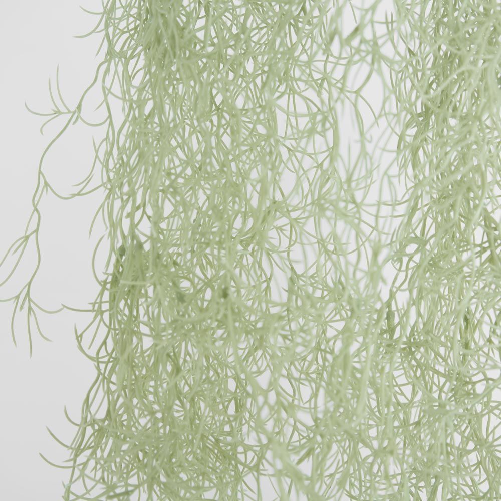 Spanish Moss Grey Green