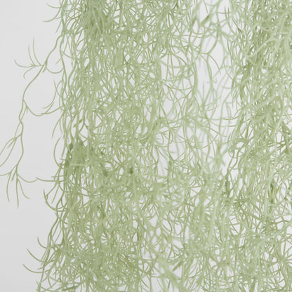 Spanish Moss Grey Green