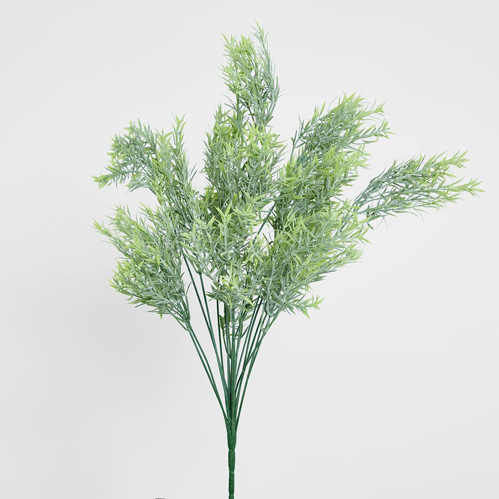 Willow Grass Bush