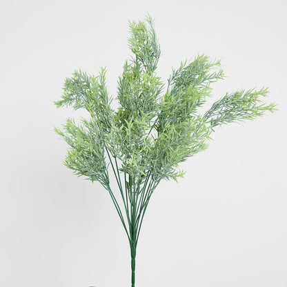 Willow Grass Bush