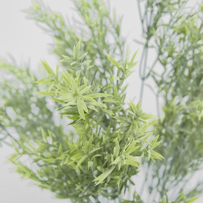 Willow Grass Bush