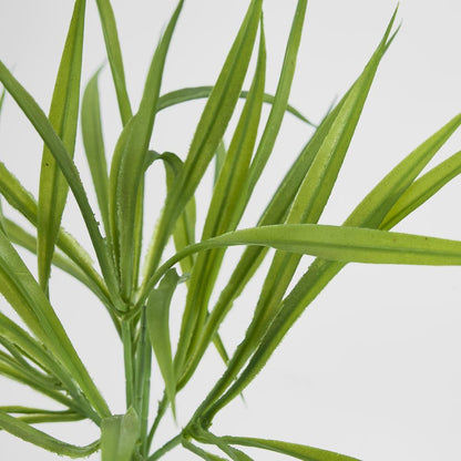 Grass Spray Green