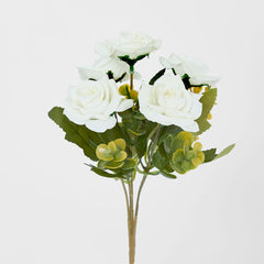 Rose Bush Assorted