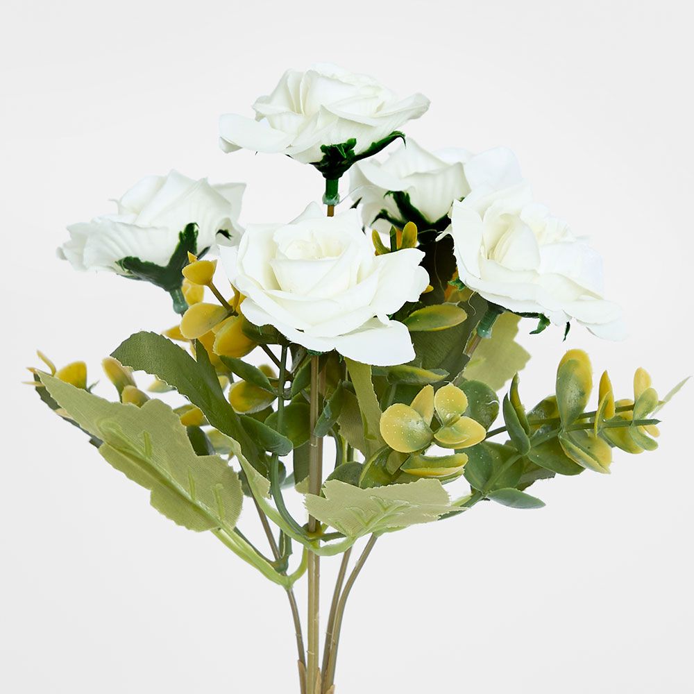 Rose Bush Assorted