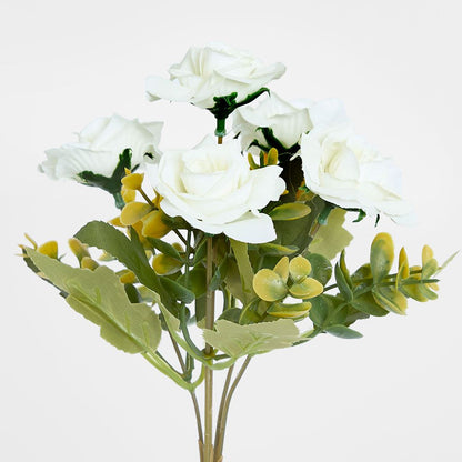 Rose Bush Assorted