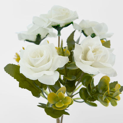 Rose Bush Assorted