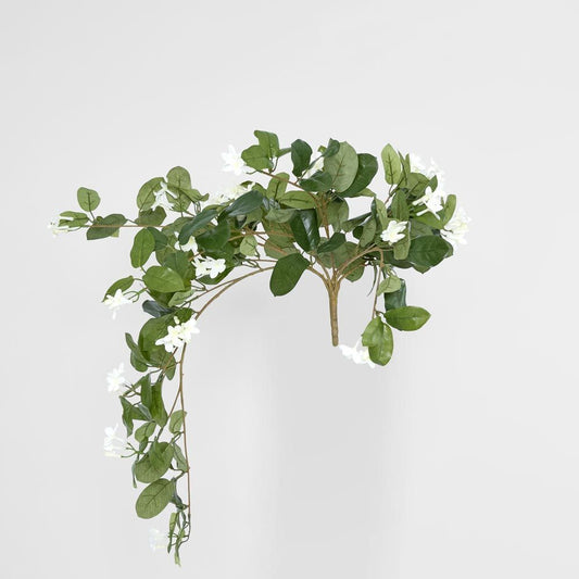 Hanging Stepahnotis Bush X 9 With 162 Leaves