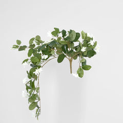 Hanging Stepahnotis Bush X 9 With 162 Leaves