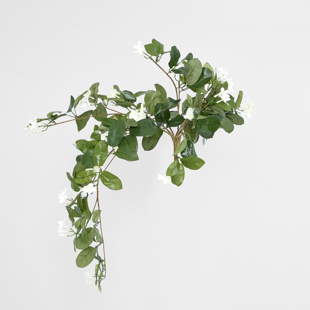 Hanging Stepahnotis Bush X 9 With 162 Leaves