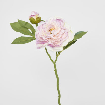 Peony With Bud Stem Light Pink