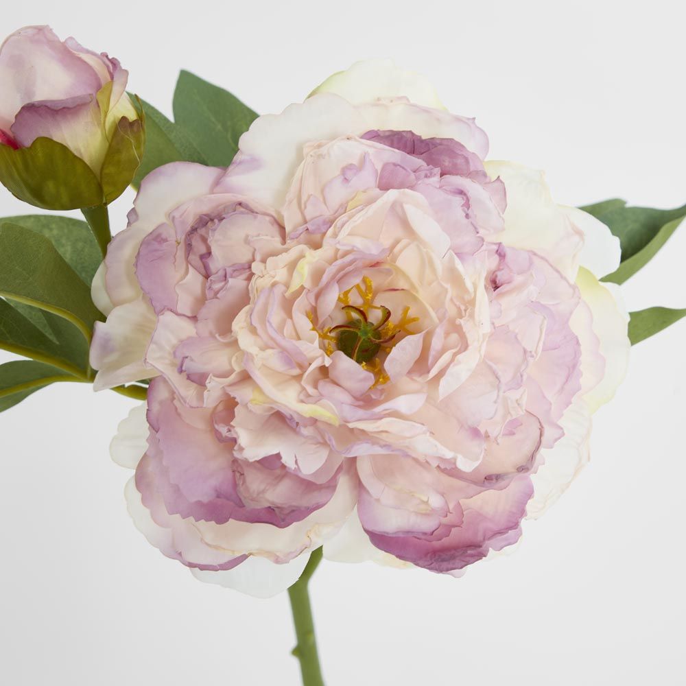 Peony With Bud Stem Light Pink