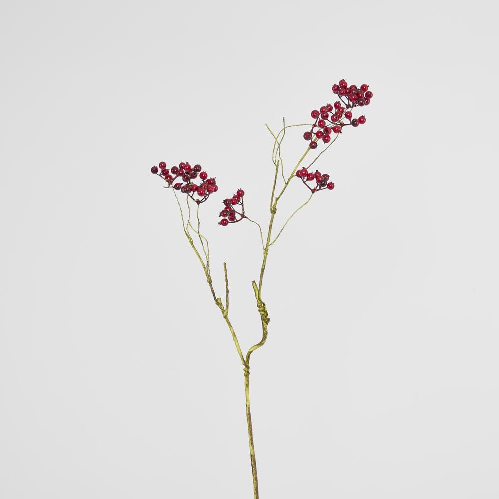 Berry Spray Red