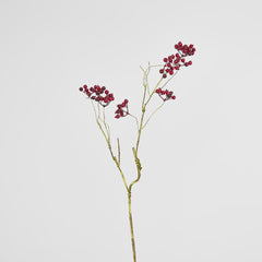 Berry Spray Red