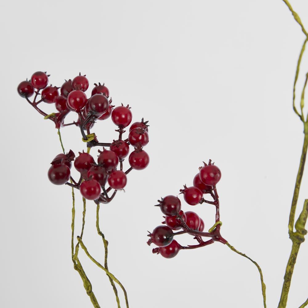 Berry Spray Red