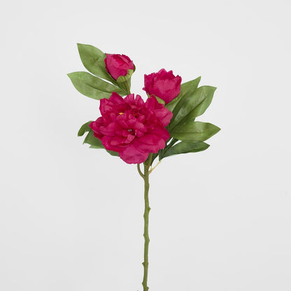 Peony With Two Buds Stem Fuchsia
