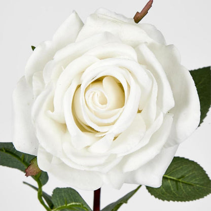 White Real Touch Bella Rose