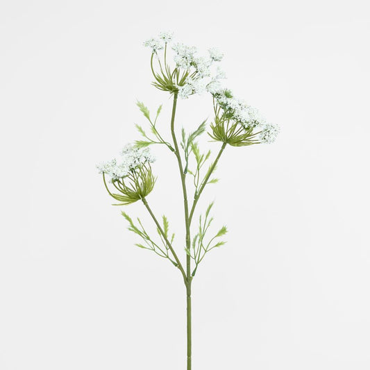 Queen Anne'S Lace Spray White