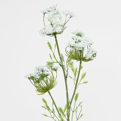 Queen Anne'S Lace Spray White