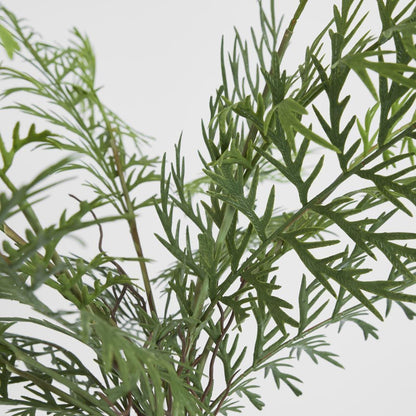 71Cm Fern Spray