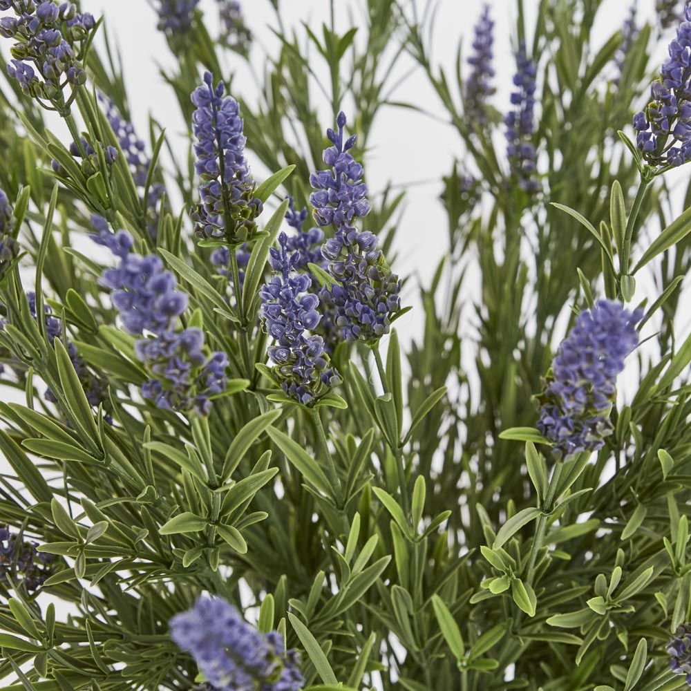 68Cm Potted Lavender Bush