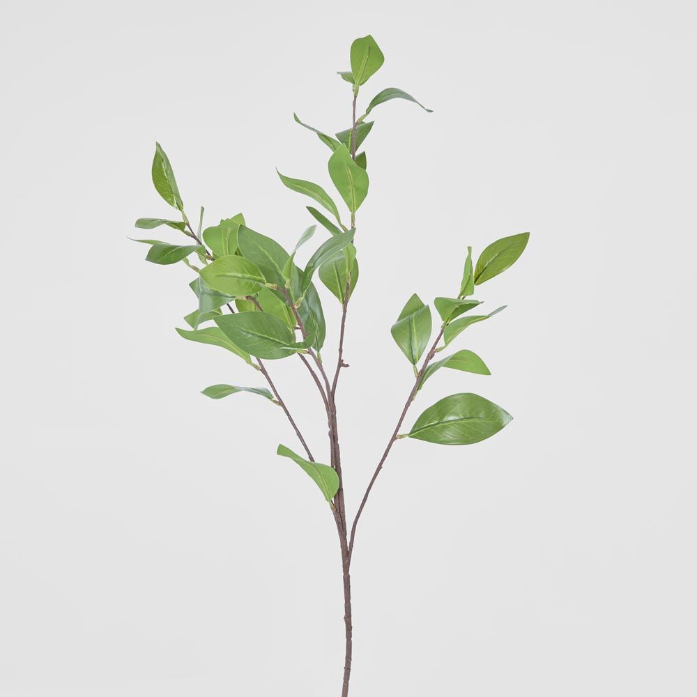 Camelia Leaf Spray