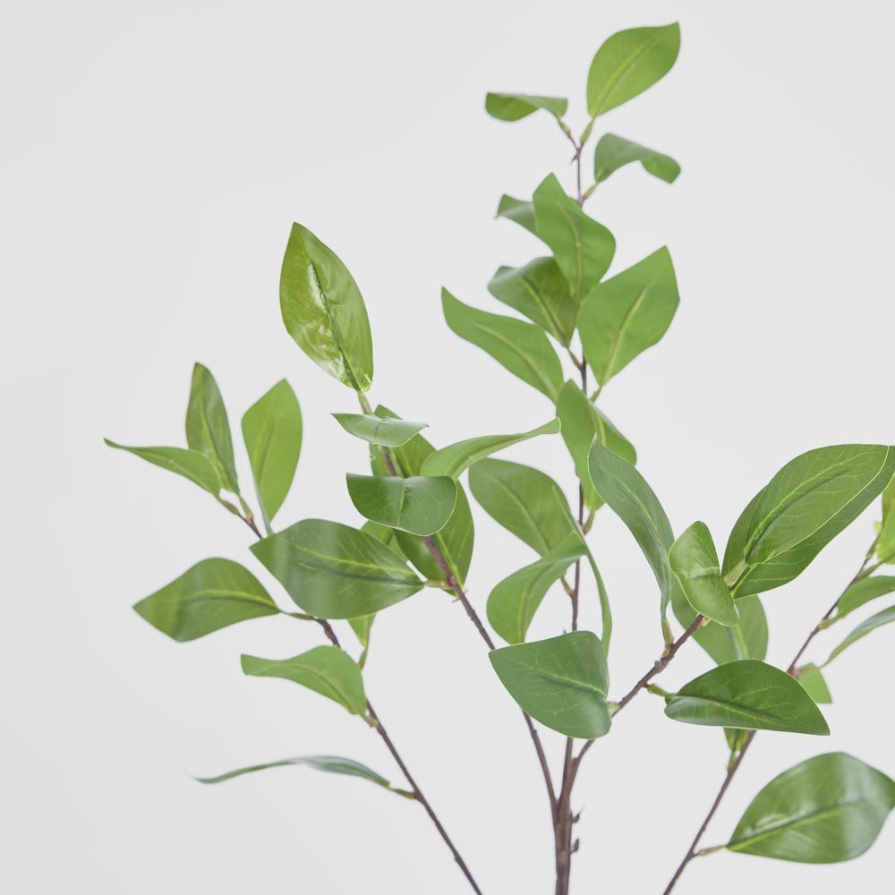 Camelia Leaf Spray