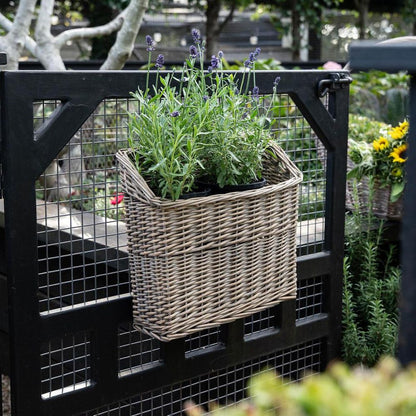Rectangular Hanging Basket S/2