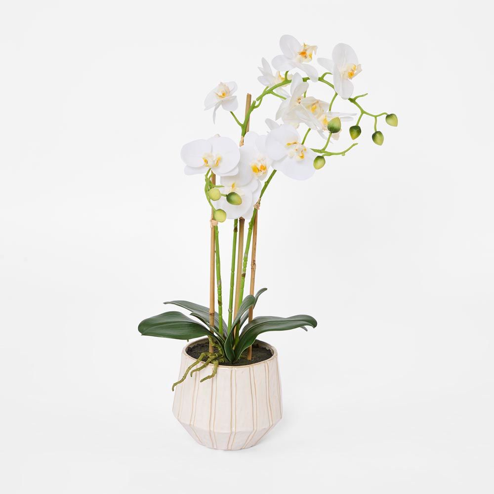 Ribbed Real Touch Potted Phalaenopsis Orchid Lge