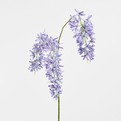 Trailing Wisteria 118Cm Lavender